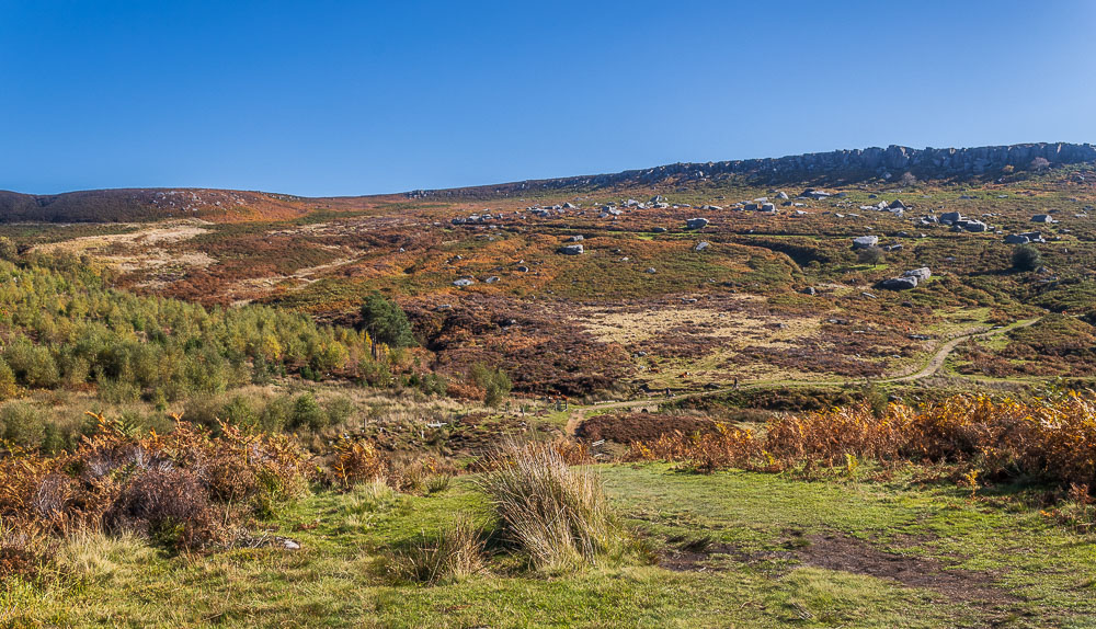 Burbage Rocks